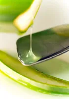 Aloe vera-gel som droppar från ett aloe vera-blad